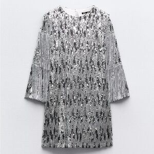 Zara Silver Sequin Fringe Sleeve Dress